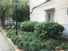 南北通大三房近地铁,中环旁,美丽家园改造示范小区。