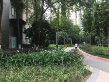 户型方正,交通便利,业主诚心出售正规一室一厅