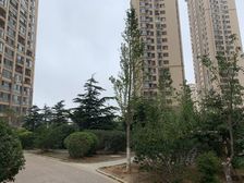 小平岛亲海园A2组团2室1厅南
