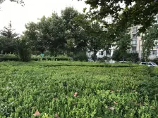 康城好房之选,楼层位置好,全天采光,解锁个性家的无限可能