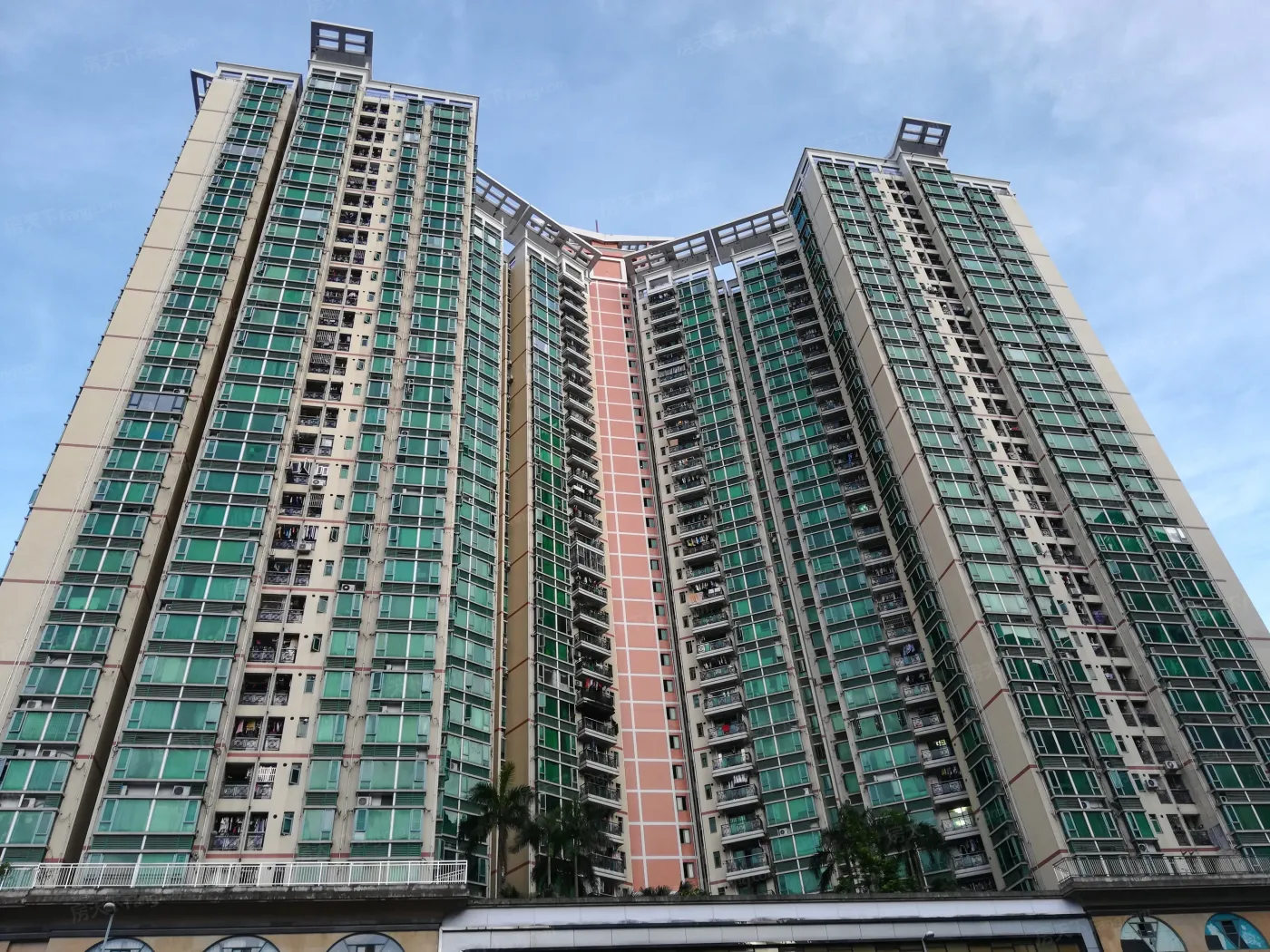 罗湖金岸