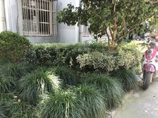 满五,近古镇,近菜场,精装修可拎包入住,生活便利