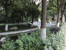 莘庄·上海康城三期维园道·2室·2厅