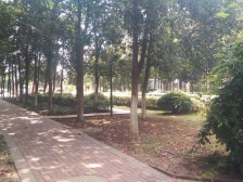 青山湖畔 香溢花城 居住舒适 精装修拎包入住