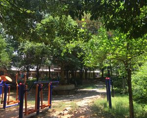 西江庭院3室1厅南北