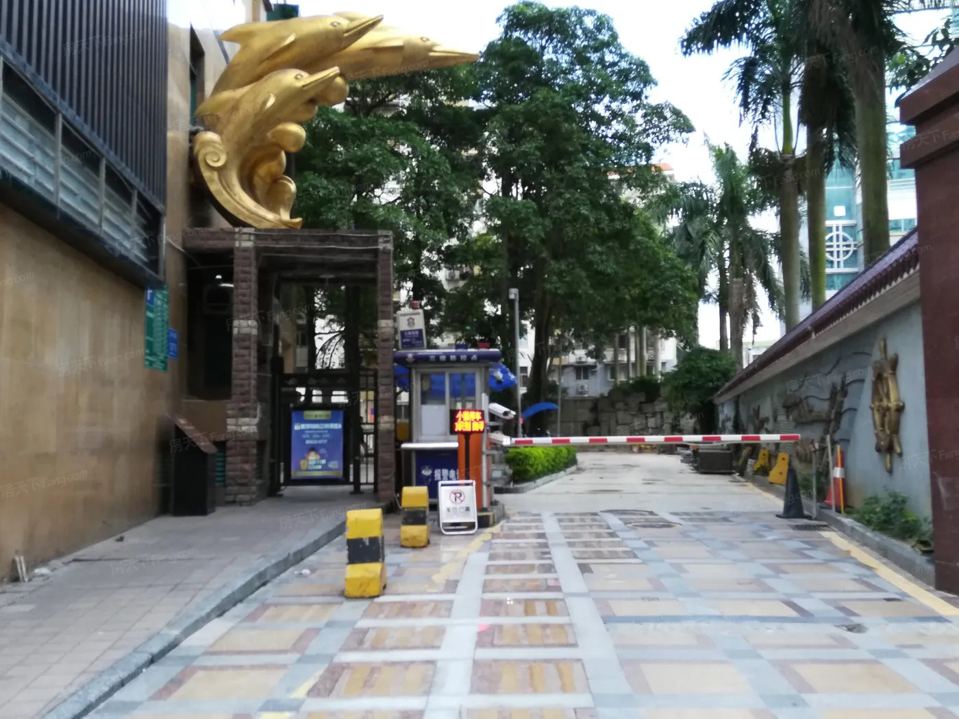 罗湖金岸