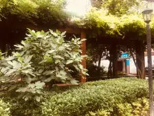 衡复低总价电梯2房,1/7常熟路站,全明采光,视野佳