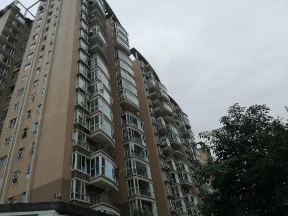 阳光春天实景图