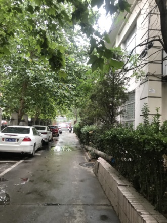 华威西里实景图