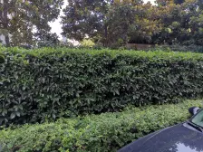 内环江景房 04年小区 带车位总价低