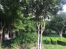 四季园好户型 复式5房 适合三代人居住 中区采光好