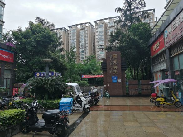 阳光春天实景图