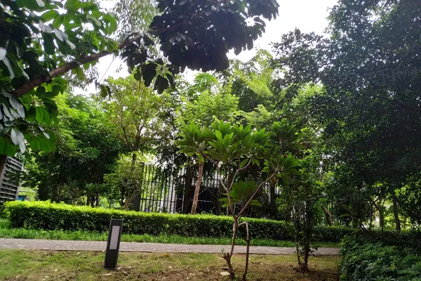 【深圳龙都花园小区,二手房,租房】- 深圳房天下