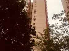 乌中大楼1室南朝向520.00万元/套出售