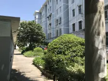 【需求房间多的看过来】新场复式+五房