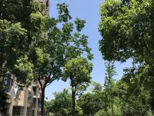 一梯三户,大开间,三房朝南,品质小区