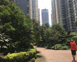 星蓝湾3室1厅南