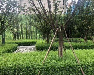 中建天府公馆1室1厅南