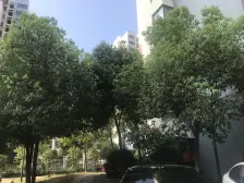 赵巷·崧泽华城佳福雅苑(二区)·2室·1厅