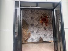 中建天府公馆1室1厅南