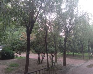 天通西苑一区3室1厅南北