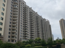 国际海水浴场南,国际海景城电梯房带楼台,精装修