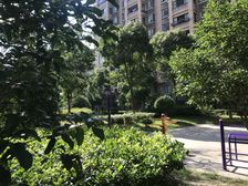 少见的电梯一梯一户,飞机户型,外加阁楼和露台