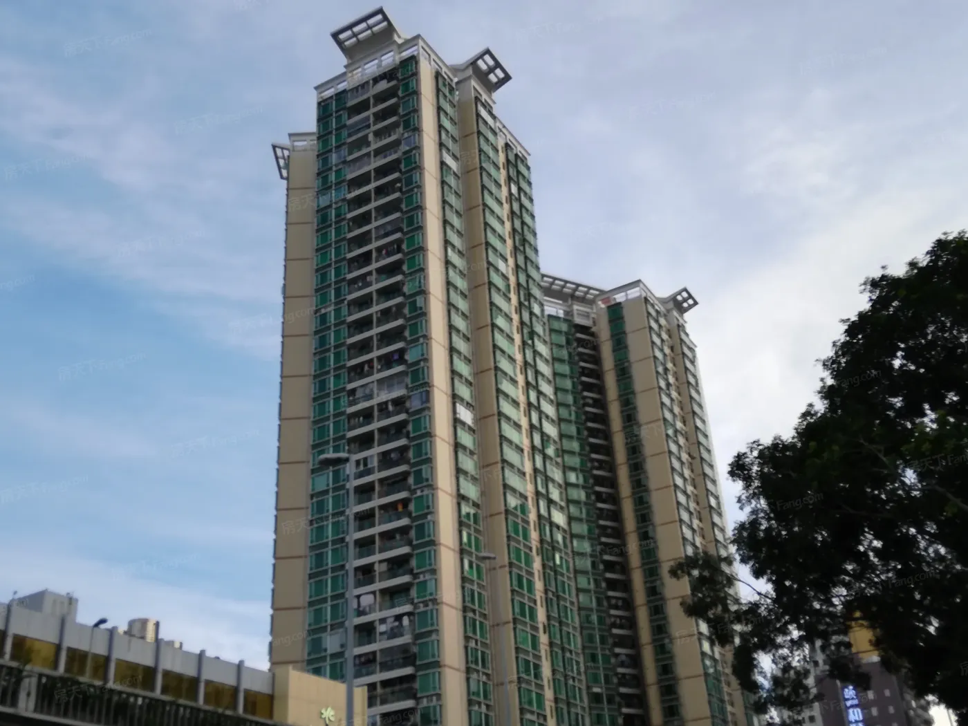 罗湖金岸