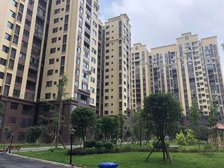 上水云锦 3室2厅 西南