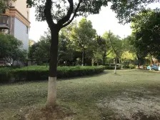 电梯中间楼层采光巨好 随时看房有钥匙 价格可谈