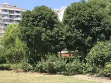 古佳苑 1室1厅 南 北