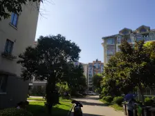 金水新苑 南北通透板式飞机户型三房 中间楼层