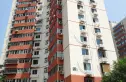 东王庄实景图