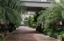 时代华庭实景图