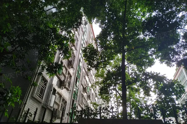 【深圳龙都花园小区,二手房,租房】- 深圳房天下