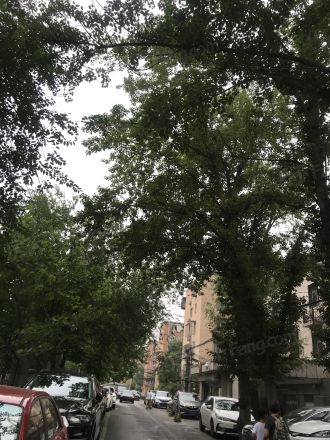 华威西里实景图