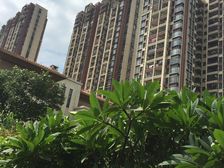 依江而建临江而居座北向南百平花园双车位品质之选!