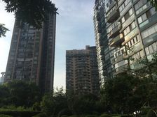 四季园平面的三房出售,南北套,全明户型,