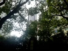 老静安次新!三开间朝南希缺户型!产权车位!高区视野