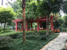 龙溪镇 聚信广场一房53万