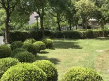 房东直售,看房随时联系