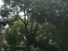 首开品质适合办公,居家,好装2房,复式公寓,近清树湾轨道。