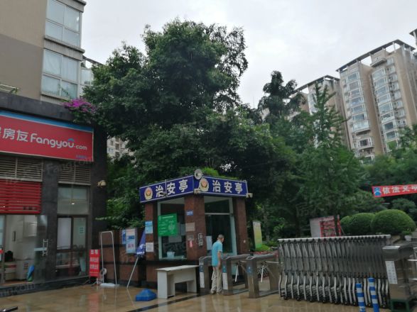 阳光春天实景图