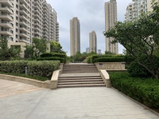 国际海水浴场 海景城 电梯4楼 纯南向 精装修