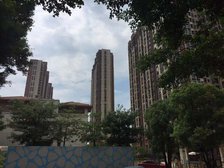 高埗一线江景房南北对流精装3室2厅2卫好楼层