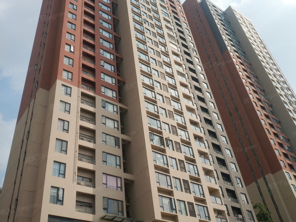 实景图