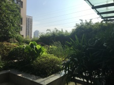 黄泥磅 玛雅上层二房125万