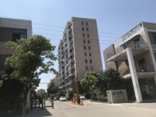 南北通,无需上楼,采光充足,前面无遮挡。