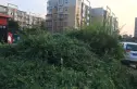 万恒家园实景图
