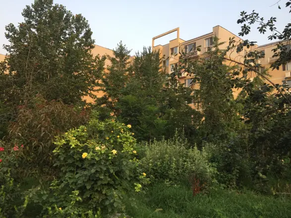 万恒家园实景图